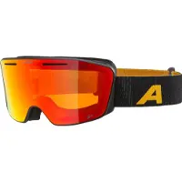 Alpina Masque de ski