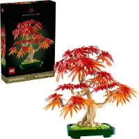 LEGO Botanicals 10348 Bonsaï d’érable rouge du Japon