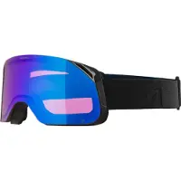 Alpina Masque de ski