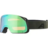 Alpina Masque de ski