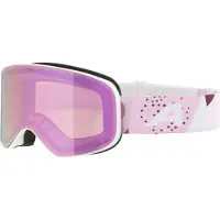 Alpina Masque de ski