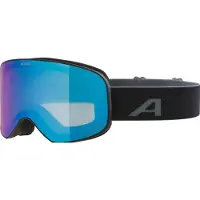 Alpina Masque de ski