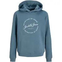 Jack & jones Junior Sweat 'JJGrayson' opal / blanc