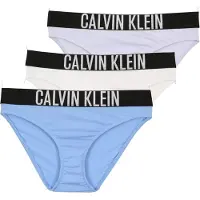 Calvin Klein Jeans Culotte G80g800730 3 Unités