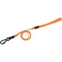 Axaeco Action Dog Leash Orange S