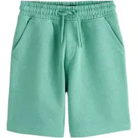 Next Pantalon vert