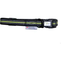 Axaeco 4 Season Dog Collar Bleu M