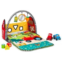 Baby einstein Tapis de Jeu d'Eveil - Cour de ferme animée - - UneTaille - Tapis d'éveil