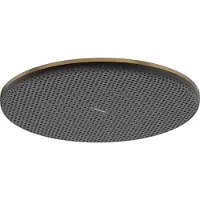 Hansgrohe Raindance Alive S Douche de tête 300 1jet EcoSmart, 24521140