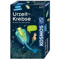 Kosmos 65787