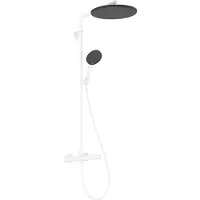 Hansgrohe Raindance Alive S PURO système de douche 300 1-jet EcoSmart avec élément Ecostat, 24593700