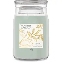 Yankee candle Little Luxuries Serenity Stone bougie parfumée 567 g