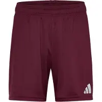 Adidas Pantalon de sport 'Entrada26' lie de vin