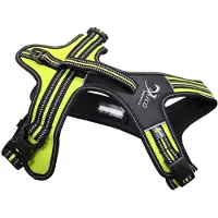 Axaeco 4 Season Power Dog Harness Jaune XS