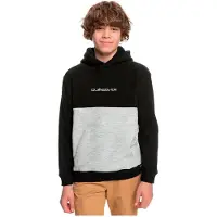Quiksilver Essentials Polar Sweatshirt Gris 16 Years Garçon