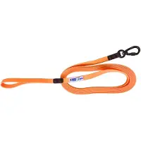 Axaeco Action Tracking 5 Meter Small Carbiner Dog Leash Orange