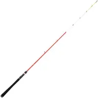 Daiwa Canne à pêche Sensor Palangrotte Eggingrute Argent 1,34 m / 30-150 g Argent 1,34 m