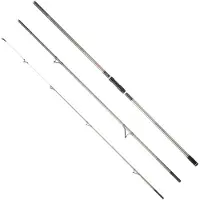 Daiwa Canne à Surfcasting Shorecast X