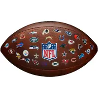 Wilson NFL Throwback 32 Team