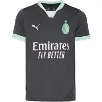 Puma T-Shirt fonctionnel 'AC Milan 24/25' gris foncé / menthe / blanc