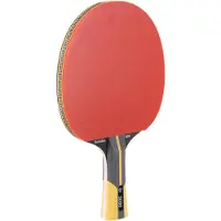 Dunlop Revolution 5000 Table Tennis Racket Rouge