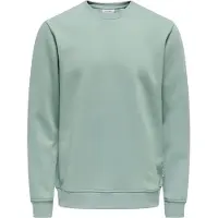 Only & Sons Sweat-shirt 'ONSCONNOR' menthe