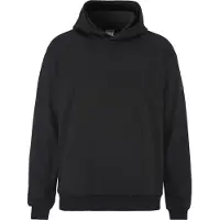 Craft Sweatshirt à capuche Community 2.0 Function