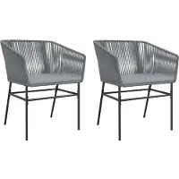 vidaXL Chaises de jardin 2 pcs. avec coussins Gris Poly Rattan