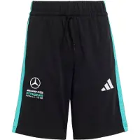 Adidas Mercedes-amg Petronas F1 Team Dna Shorts Noir 11-12 Years Enfants