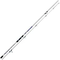 LINEAEFFE Coast Slinger Canne à surf argent 3.60 m / 200 g argent 3.60 m