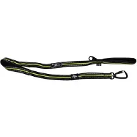 Axaeco 4 Season Elastic Dog Leash Argenté
