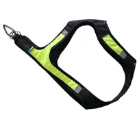 Axaeco Harnais Pour Chien X-run