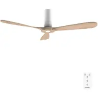 Cecotec Ventilateur De Plafond Energysilence 5400