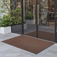 Vevor Tapis d'Entrée