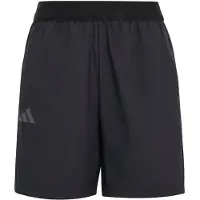 Adidas Pantalon de sport gris foncé / noir / blanc