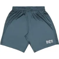 Benlee Pantalon de sport 'Alexus' bleu foncé / blanc
