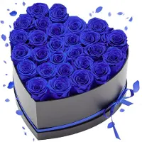 Vevor Rose Éternelle 27 Fleurs Éternelles Préservées Boîte en Cœur