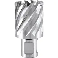 RUKO Carottier diamètre 60mm HSS-Co longueur 30mm Weldon - 108260E