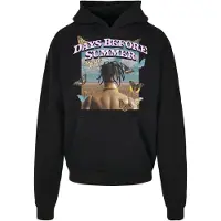 Mister tee Sweat-shirt 'Days before Summer' bleu clair / marron / noir / blanc
