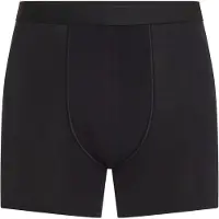 Icebreaker Merino Core Boxers Noir S Homme