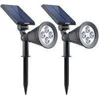 Lumisky Pack de 2 Spots lumineux solaire Spiky W34 LED Blanc froid 34 cm