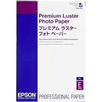 Epson Premium Luster Photo 100 Sheet Paper Blanc
