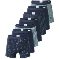 Schiesser Sous-vêtements '95/5' marine / jade