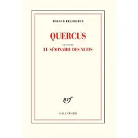 Gallimard Quercus/Le séminaire des nuits