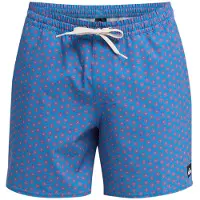 Quiksilver Stretch Printed Volley 16´´ Swimming Shorts Bleu S Homme