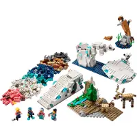 LEGO Kit de science Animaux de l'Arctique