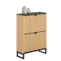 SoBuy Armoire à chaussures d'entrée, armoire à chaussures fine, rangement compact pour 8-12 paires, 60x24x88cm, FSR202-N