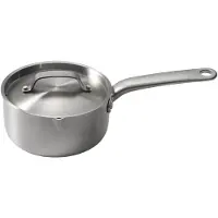 Skottsberg Stainless Steel 535757 poêle avec couvercle, 16 cm