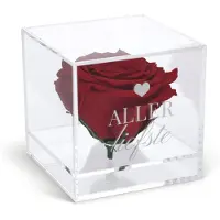 Yoursurprise Preserved Rose dans un cube gravé (plexiglas)