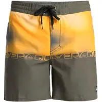 Quiksilver Everyday Half Jam 16´´ Swimming Shorts Gris 32 Homme